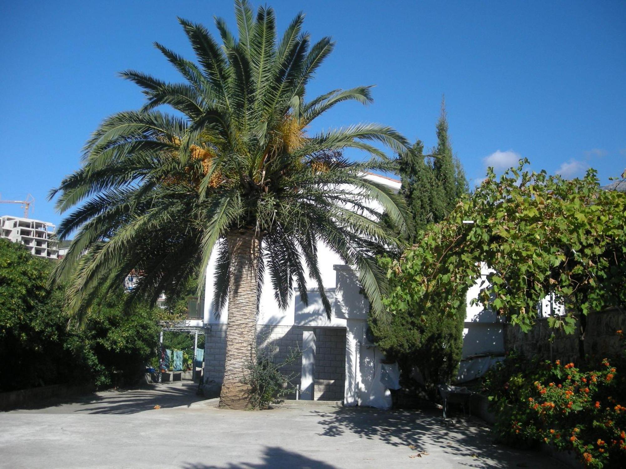 Apartments Becic Budva Extérieur photo