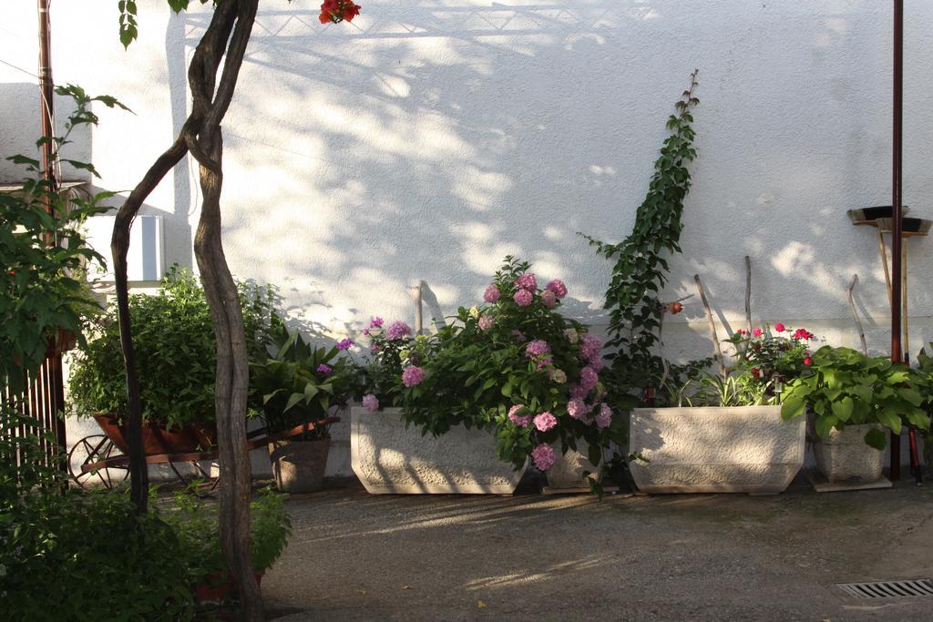 Apartments Becic Budva Extérieur photo